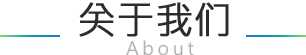 关于我们_诸城做网站建设制作|诸城网站SEO优化推广-果子信息科技